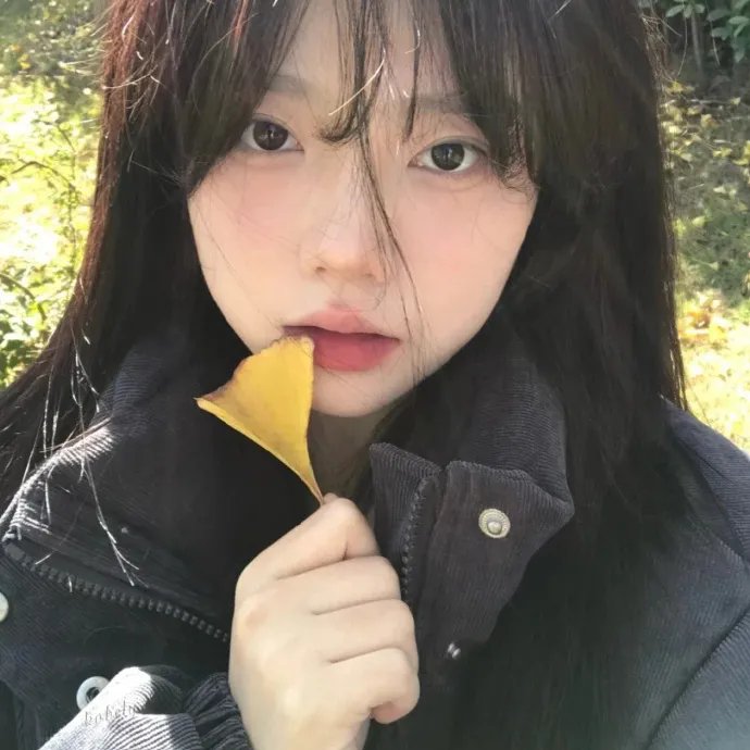 反诈风暴之情爱迷局